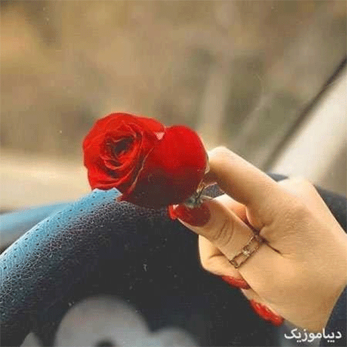 امید ای گل رویایی