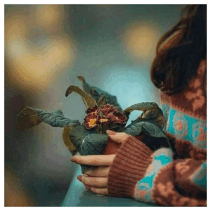 عارف کی بهتر ازتو