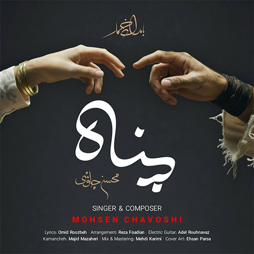 محسن چاوشی پناه