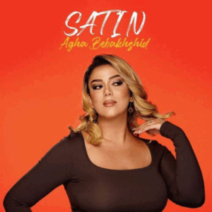 ستین آقا ببخشید