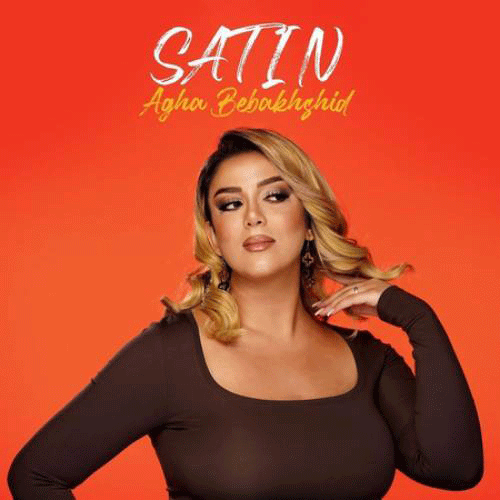 ستین آقا ببخشید