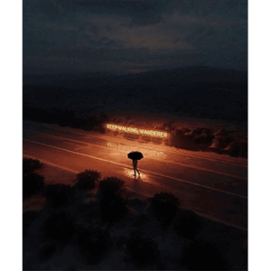 Tom Rosenthal Lights Are On